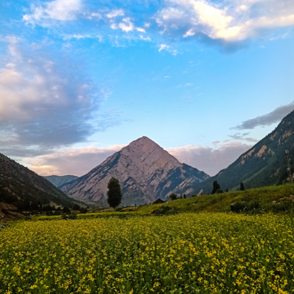 Kashmir Offbeat Gurez